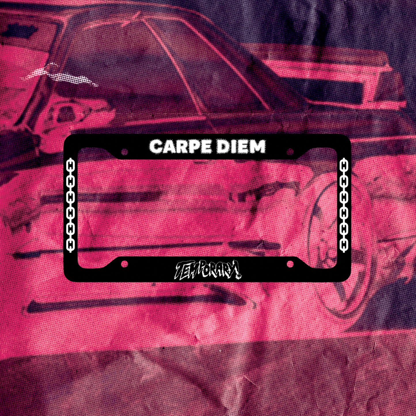 CARPE DIEM PLATE FRAME